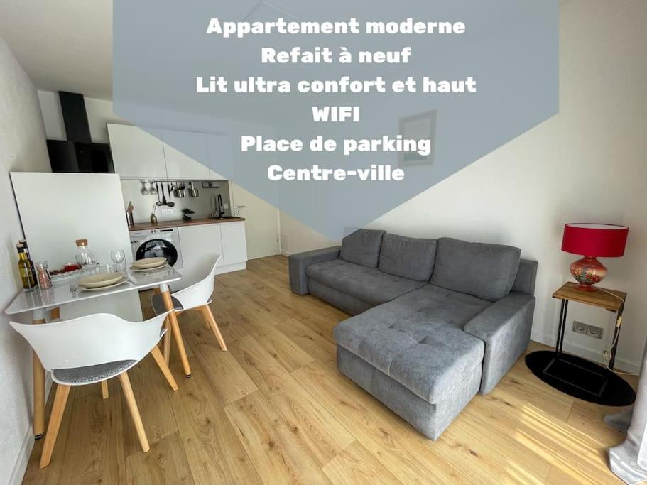 Le Lagon Bleu - Appt Wifi Parking Balcon Le Puy-en-Velay Exterior photo
